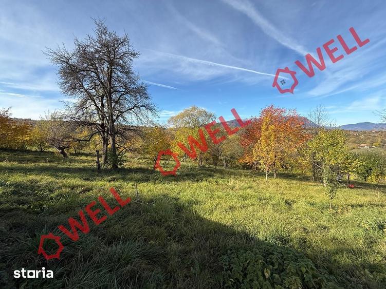 Casă cu Teren 4831 Mp în Bran