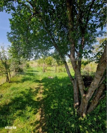 Casă cu 2 camere decomandat cu Teren 1600 Mp în Uriu