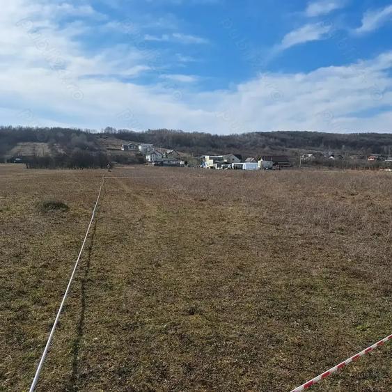 Teren de 1158 mp, în Smeura