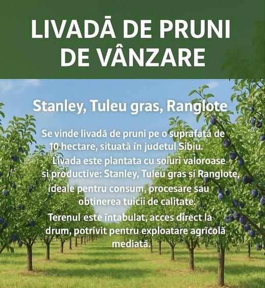 Spațiu comercial, în Slimnic