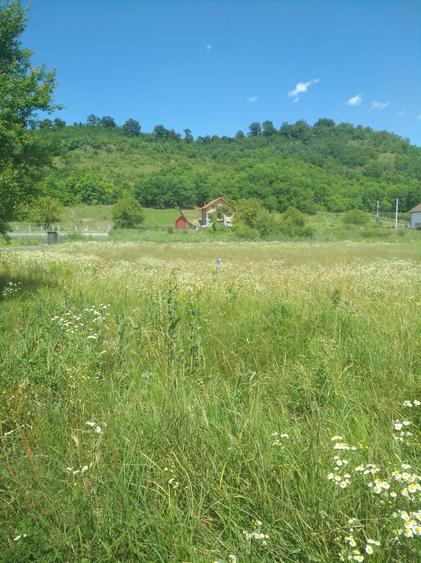 Teren agricol intravilan de 900 mp, în Livezeni