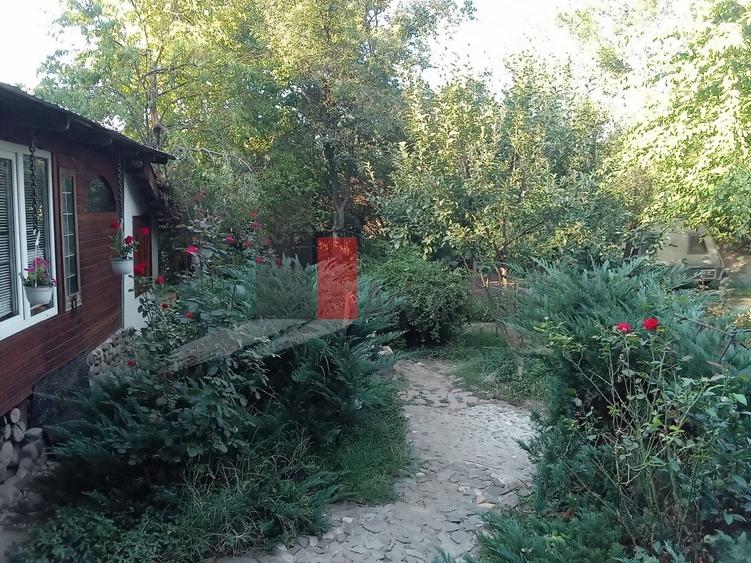 Teren Construcții intravilan de 630 mp, în Dărăști-Vlașca