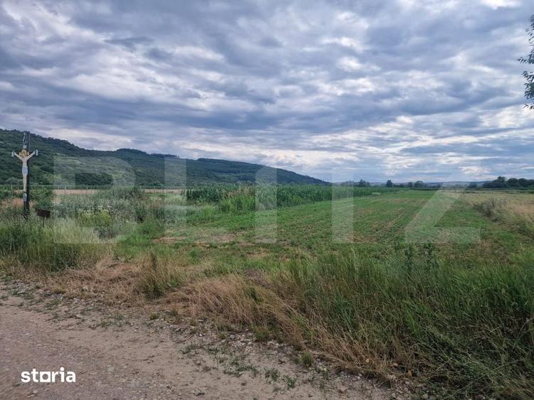 Teren de 4300 mp, în Zorilor
