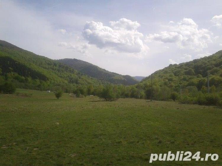 Teren de 1900 mp, în Sud