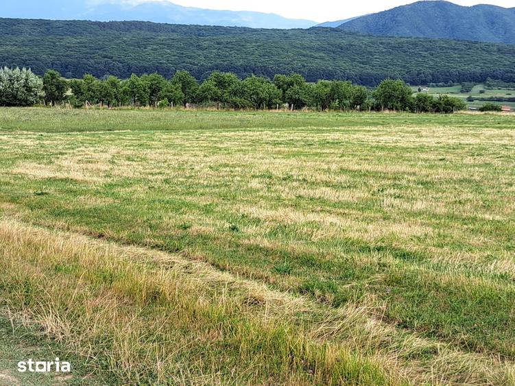 Oportunitate-Teren Extravilan 6200 mp cu vedere Panoramica-Tropinii No - 9