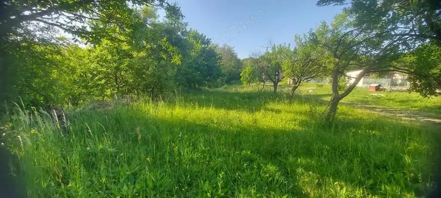 Teren de 1200 mp, în Dârmănești