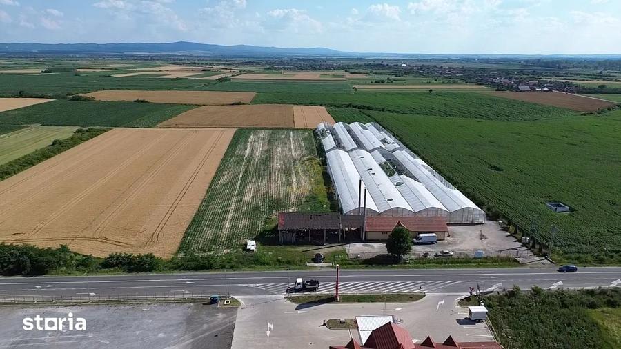 Teren de 9482 mp, în Medieșu Aurit