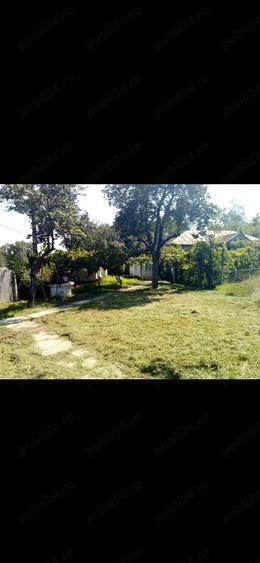 Casă cu Teren 2520 Mp în Moreni