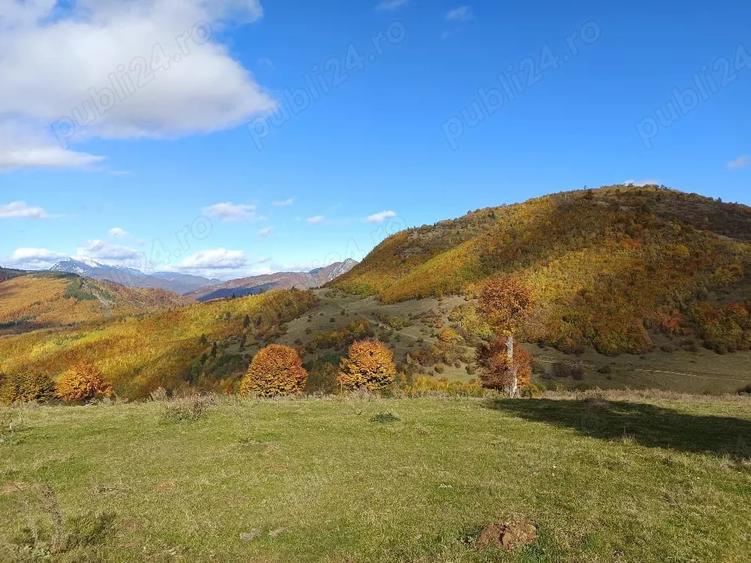 Teren în Central