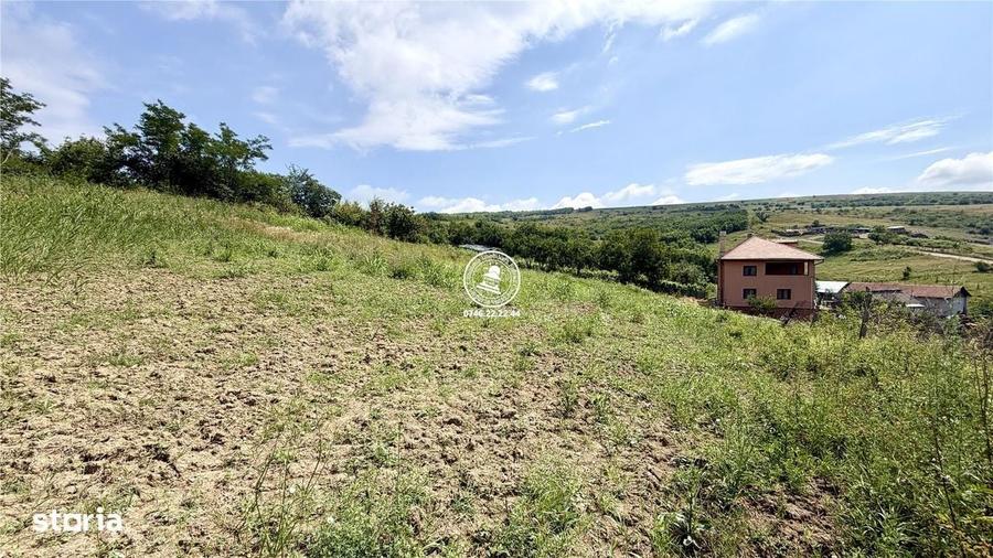 Casă cu 4 camere în Aroneanu