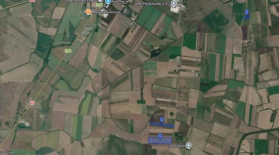 Teren arabil la Salonta 7,44 Ha - 3