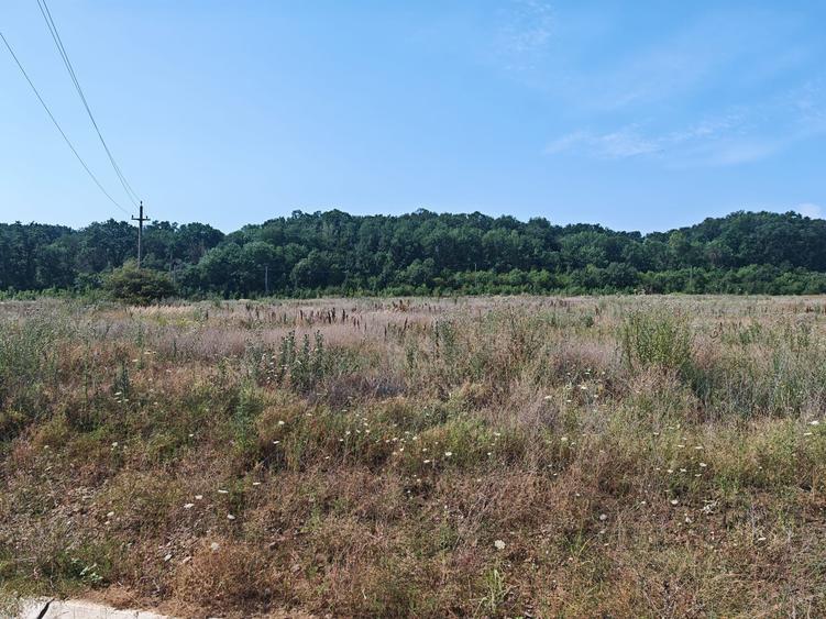 Teren Construcții intravilan de 35000 mp, în Balotești
