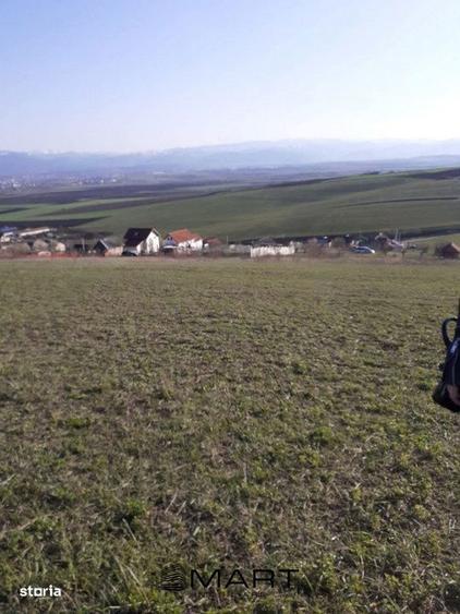Teren de 550 mp, în Șura Mare