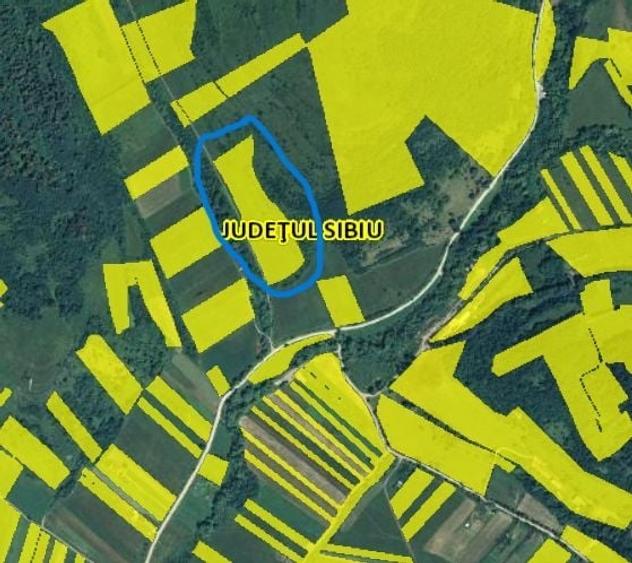 Teren agricol extravilan de 18175 mp, în Gușterița