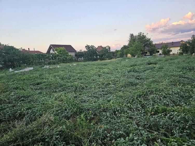 Teren de 2000 mp, în Băcia