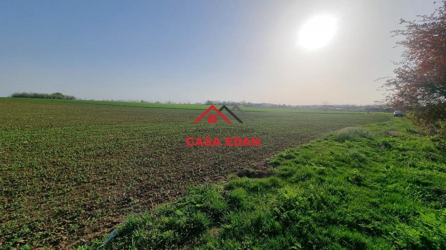 Teren agricol extravilan de 5000 mp, în Urleta