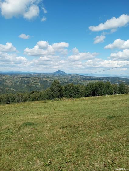 Teren în Poiana Mărului