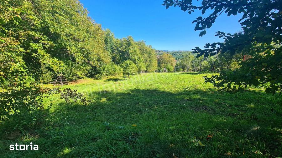 Casă cu 3 camere cu Teren 4391 Mp în Valea Danului