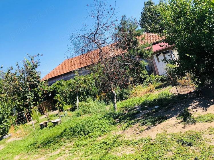 Casa de vanzare 1400mp - 5
