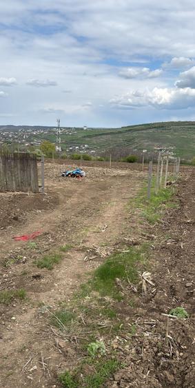 Teren Construcții intravilan de 490 mp, în Păcurari
