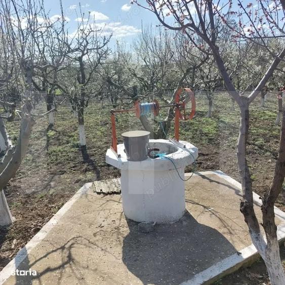 Spațiu comercial, în Dolina