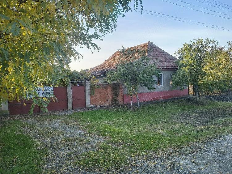Casă cu Teren 2990 Mp în Iratoșu