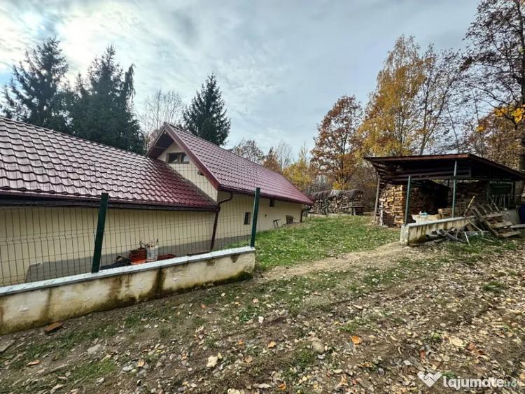 Casă cu 4 camere cu Teren 1527 Mp în Tăuții de Sus