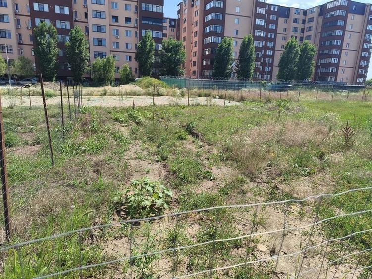 Teren de 600 mp, în Chiajna