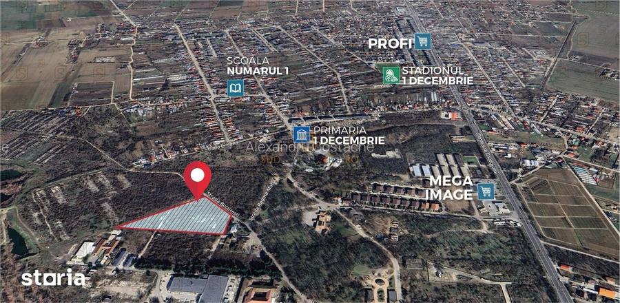 Teren 19.470 mp, investitie ideala, Green City -1 Decembrie, Ilfov