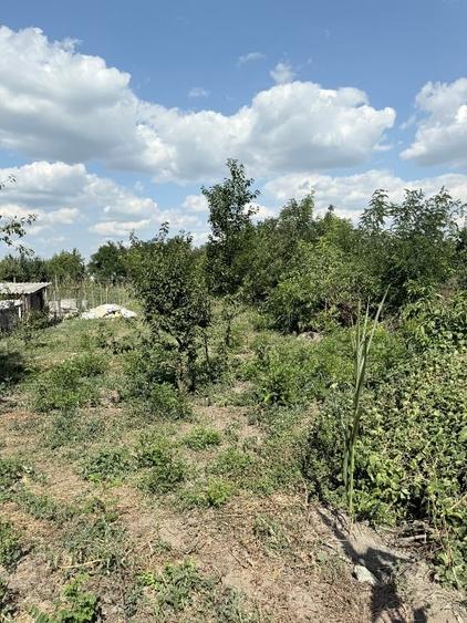 Teren Construcții intravilan de 521 mp, în Bălteni
