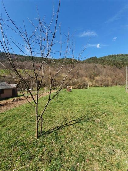 Teren Construcții intravilan de 6100 mp, în Bulz