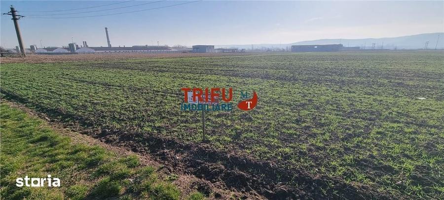 Teren de 11600 mp, în Sântimbru
