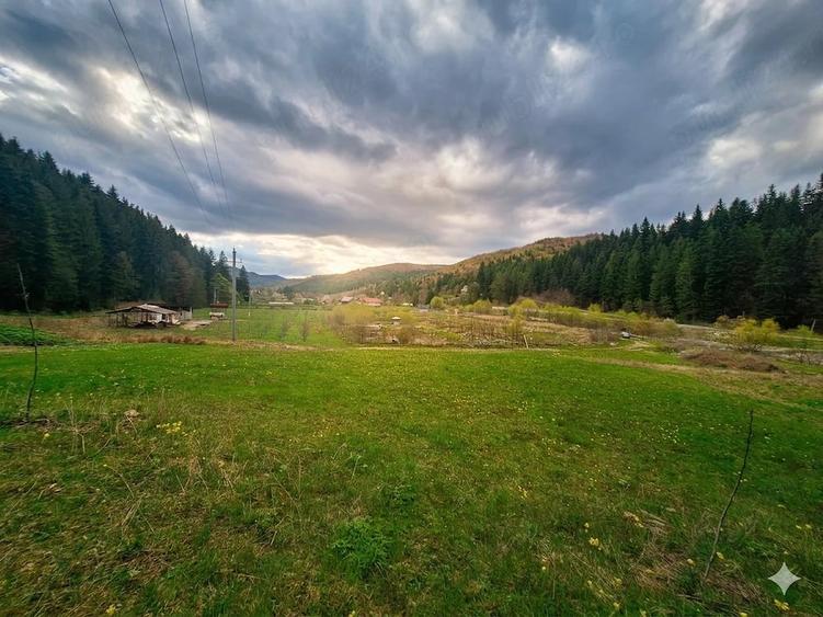 Teren de 21000 mp, în Slatina
