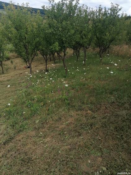Teren de 27 mp, în Sigmir