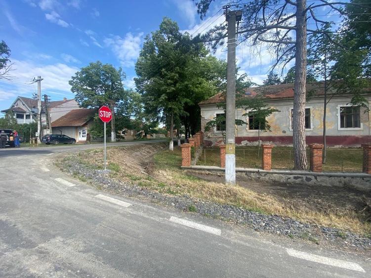 Casă individuală cu 10 camere cu Canalizare în Balinț