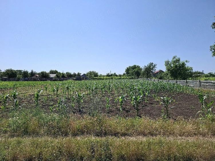 Teren de 1500 mp, în Padina