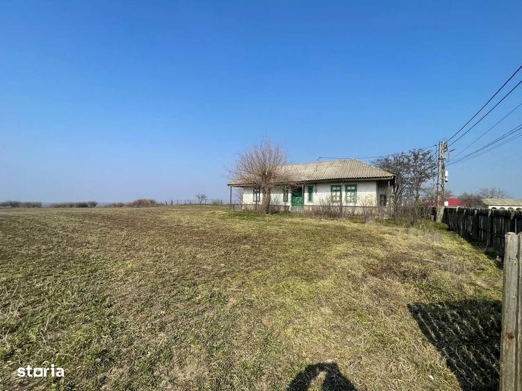 Teren de 3801 mp, în Dăeni