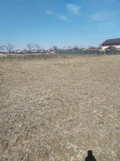 Teren de 5500 mp, în Ruși-Ciutea