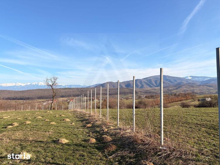 Teren de 809 mp, în Poplaca