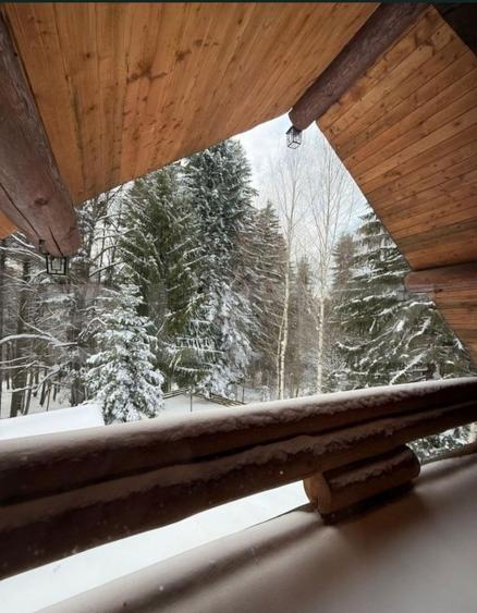 Vile premium , chalet si Tree House-uri de vanzare intr-un Resort Wellness montan - 4