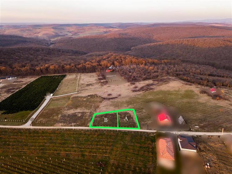 Teren intravilan de 915 mp, în Podgoria