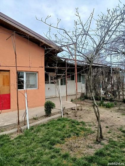 Casă cu 5 camere cu Teren 3000 Mp în Central
