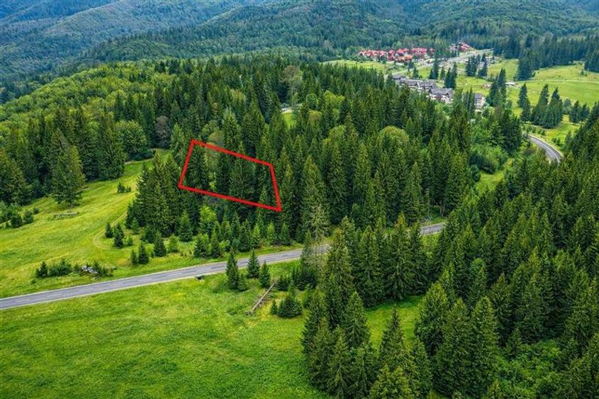 Teren Construcții intravilan de 1000 mp, în Poiana Brașov