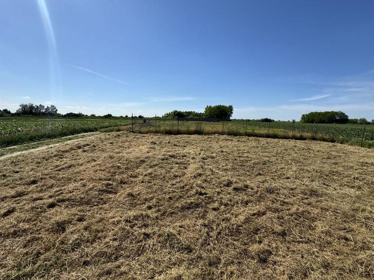 Teren Construcții intravilan de 400 mp, în Sânpaul