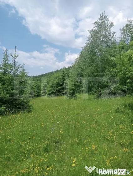 Teren de 30121 mp, în Scărișoara