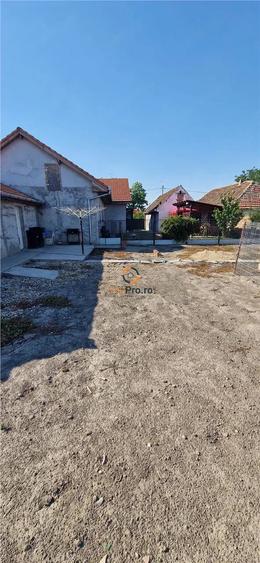 Casă cu Teren 2656 Mp în Cenei