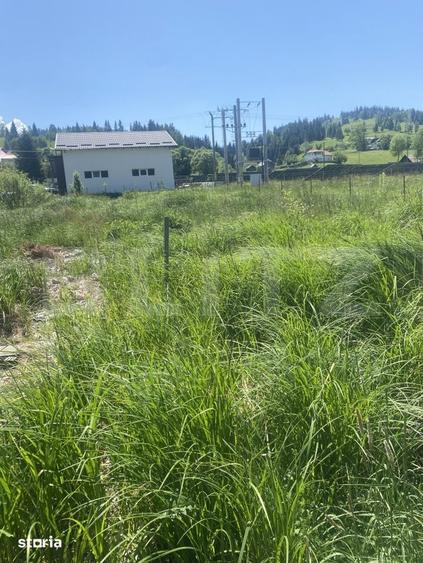 Teren de 1000 mp, în Vatra Dornei