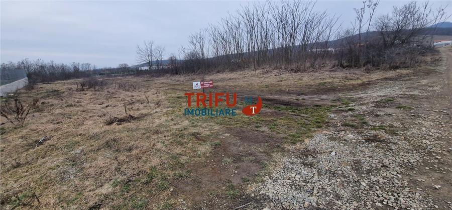 Teren Construcții intravilan de 1091 mp, în Cetate