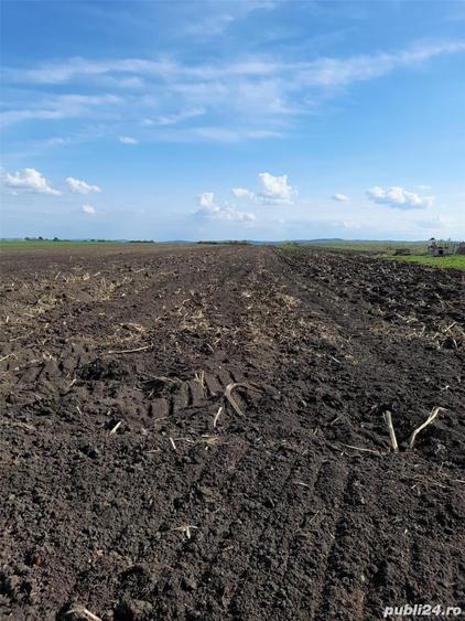 Teren de 9600 mp, în Central
