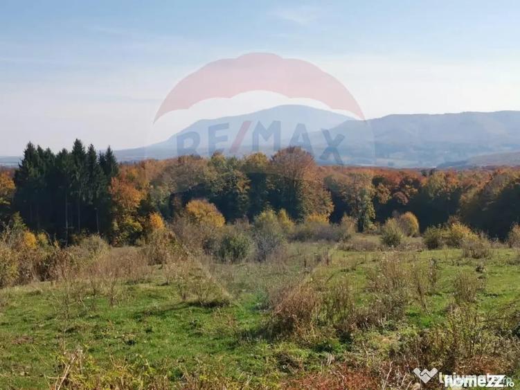 Teren în Dumbrăvița